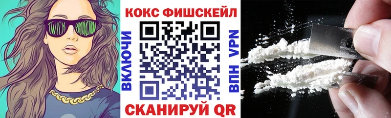 Кокаин FishScale  Сясьстрой 