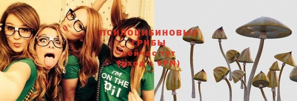 прущая мука Краснотурьинск