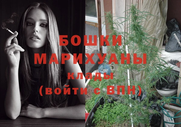 стафф Ладушкин