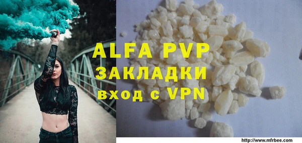 стафф Ладушкин