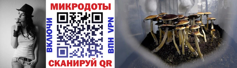 Галлюциногенные грибы MAGIC MUSHROOMS  ОМГ ОМГ ССЫЛКА  Сясьстрой 